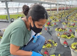 Diverse Employees Thrive in the Green Industry