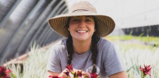 Britton Nursery, Inc.: Nurturing Perennials & People All Year Long