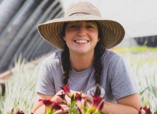 Britton Nursery, Inc.: Nurturing Perennials & People All Year Long