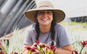 Britton Nursery, Inc.: Nurturing Perennials & People All Year Long