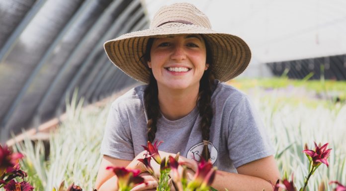 Britton Nursery, Inc.: Nurturing Perennials & People All Year Long