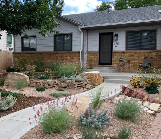 Water-Saving Case Study: Fort Collins Xeriscape Incentive Program