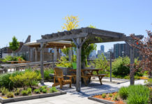 Denver Pursues Environmental Benefits with Green Buildings Law