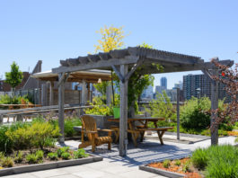 Denver Pursues Environmental Benefits with Green Buildings Law