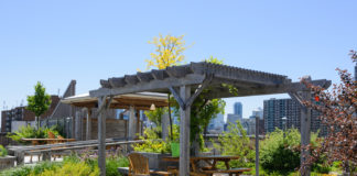 Denver Pursues Environmental Benefits with Green Buildings Law