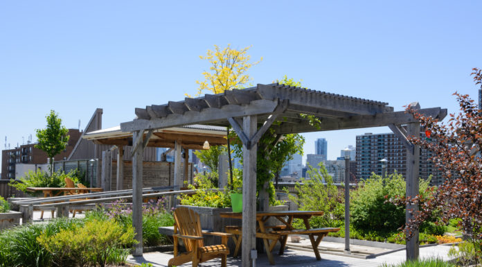 Denver Pursues Environmental Benefits with Green Buildings Law