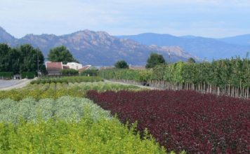 Coming August 27 – CNGA Buyers Expo