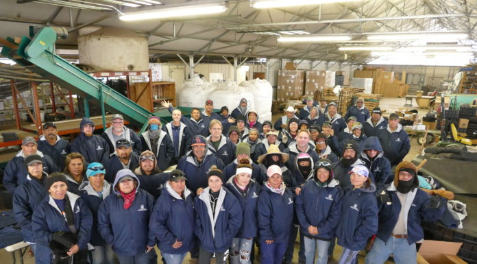 Little Valley Wholesale Nursery: Sustainable Inventory Management for Trees & Shrubs