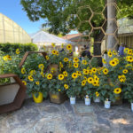 Reviews of CAST 2021 from 4 CNGA Members