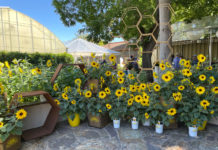 Reviews of CAST 2021 from 4 CNGA Members