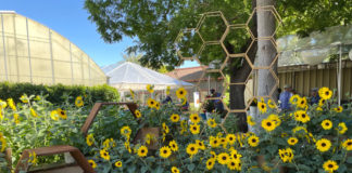 Reviews of CAST 2021 from 4 CNGA Members