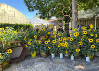 Reviews of CAST 2021 from 4 CNGA Members