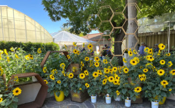 Reviews of CAST 2021 from 4 CNGA Members