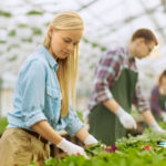 Contribute to Horticulture’s Future