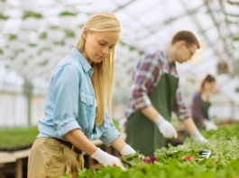 Contribute to Horticulture’s Future