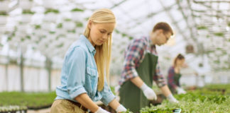 Contribute to Horticulture’s Future