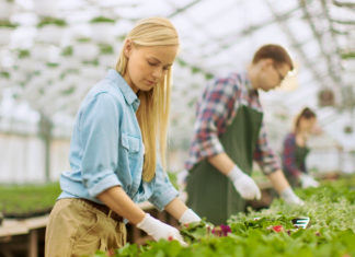 Contribute to Horticulture’s Future