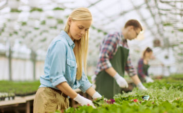 Contribute to Horticulture’s Future