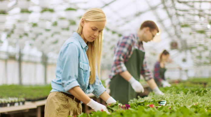 Contribute to Horticulture’s Future