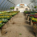 Overwintering Benefits & Challenges