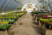 Overwintering Benefits & Challenges