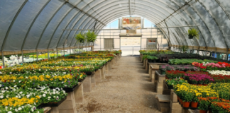 Overwintering Benefits & Challenges