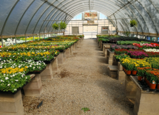 Overwintering Benefits & Challenges