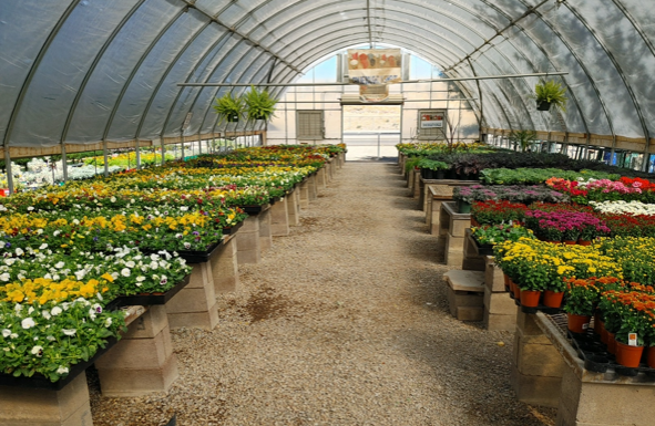 Overwintering Benefits & Challenges