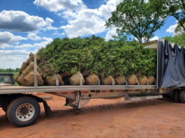 Drop Shipping Case Study: Communication is Key