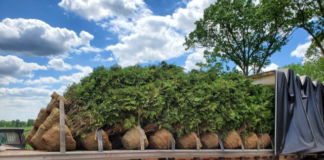 Drop Shipping Case Study: Communication is Key