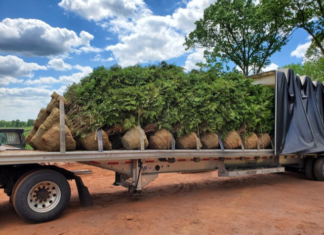 Drop Shipping Case Study: Communication is Key