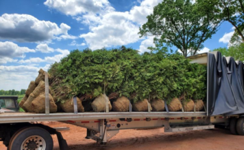 Drop Shipping Case Study: Communication is Key