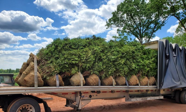 Drop Shipping Case Study: Communication is Key