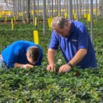 Bioline Agrosciences: Premium Quality Biocontrol Solutions to Growers Worldwide