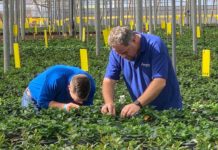 Bioline Agrosciences: Premium Quality Biocontrol Solutions to Growers Worldwide