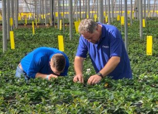 Bioline Agrosciences: Premium Quality Biocontrol Solutions to Growers Worldwide