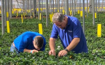 Bioline Agrosciences: Premium Quality Biocontrol Solutions to Growers Worldwide