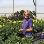 Changing of the Guard