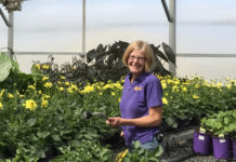 Changing of the Guard