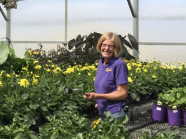 Changing of the Guard