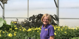 Changing of the Guard