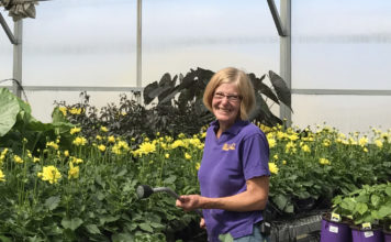 Changing of the Guard