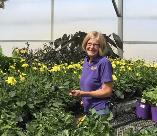 Changing of the Guard