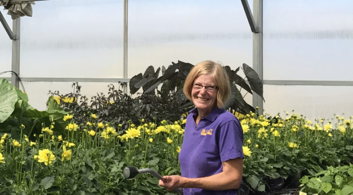 Changing of the Guard