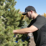 Growing a Garden of Diversity