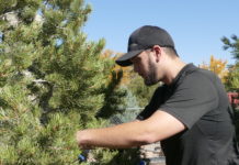 Growing a Garden of Diversity