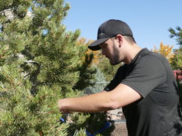 Growing a Garden of Diversity