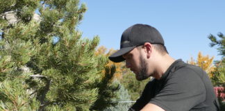 Growing a Garden of Diversity