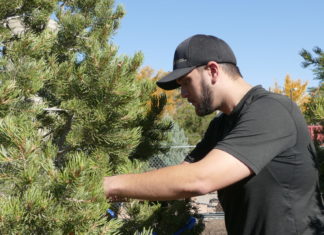 Growing a Garden of Diversity