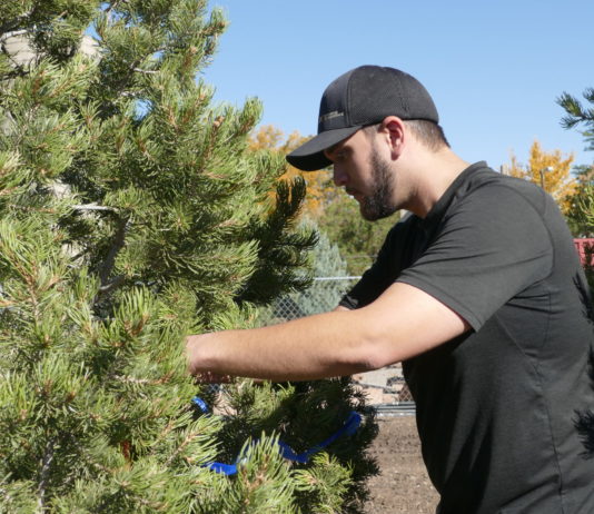 Growing a Garden of Diversity